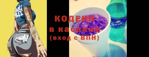 стафф Гусев