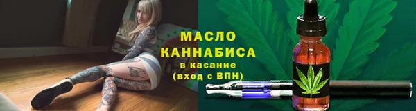 эйфоретик Гусь-Хрустальный