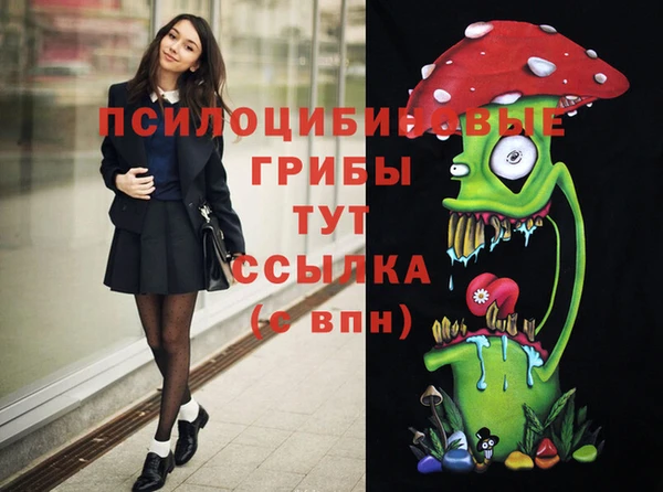 первитин Горняк