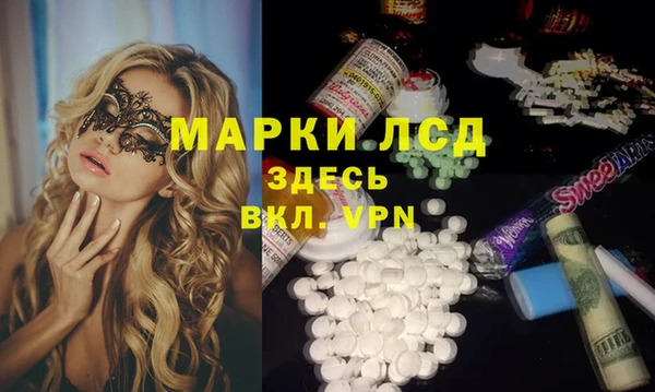 стафф Гусев