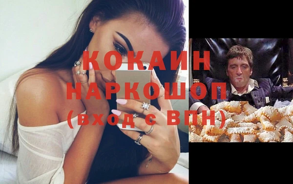 стафф Гусев