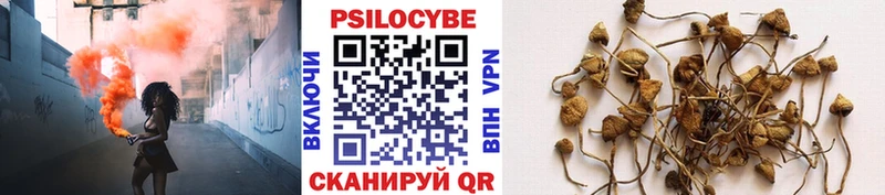 Псилоцибиновые грибы прущие грибы  Купить  Абинск 